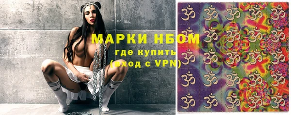 индика Заволжье