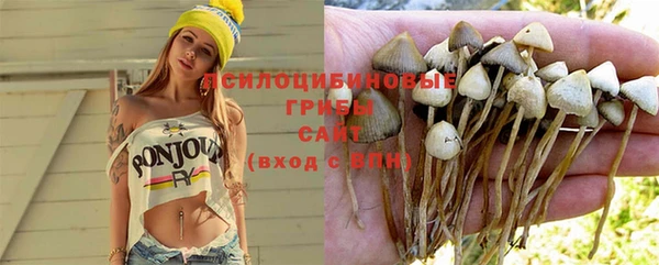 прущие крисы Аркадак