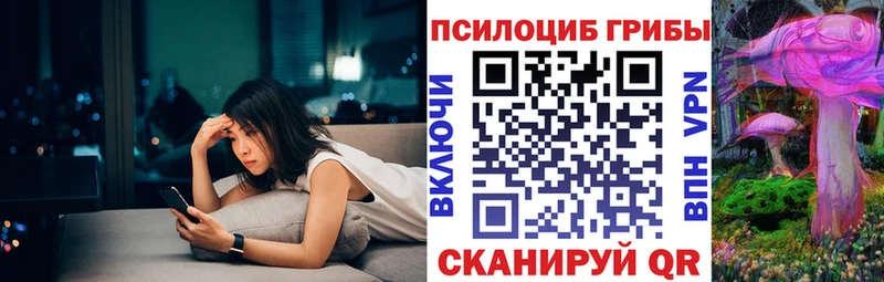 Псилоцибиновые грибы Psilocybe купить цена Унеча